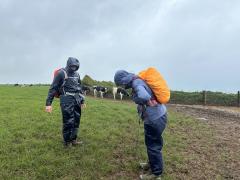 This was by Bounds Cliff, the only entrance is in the flooded corner.  Cows looking on with interest!